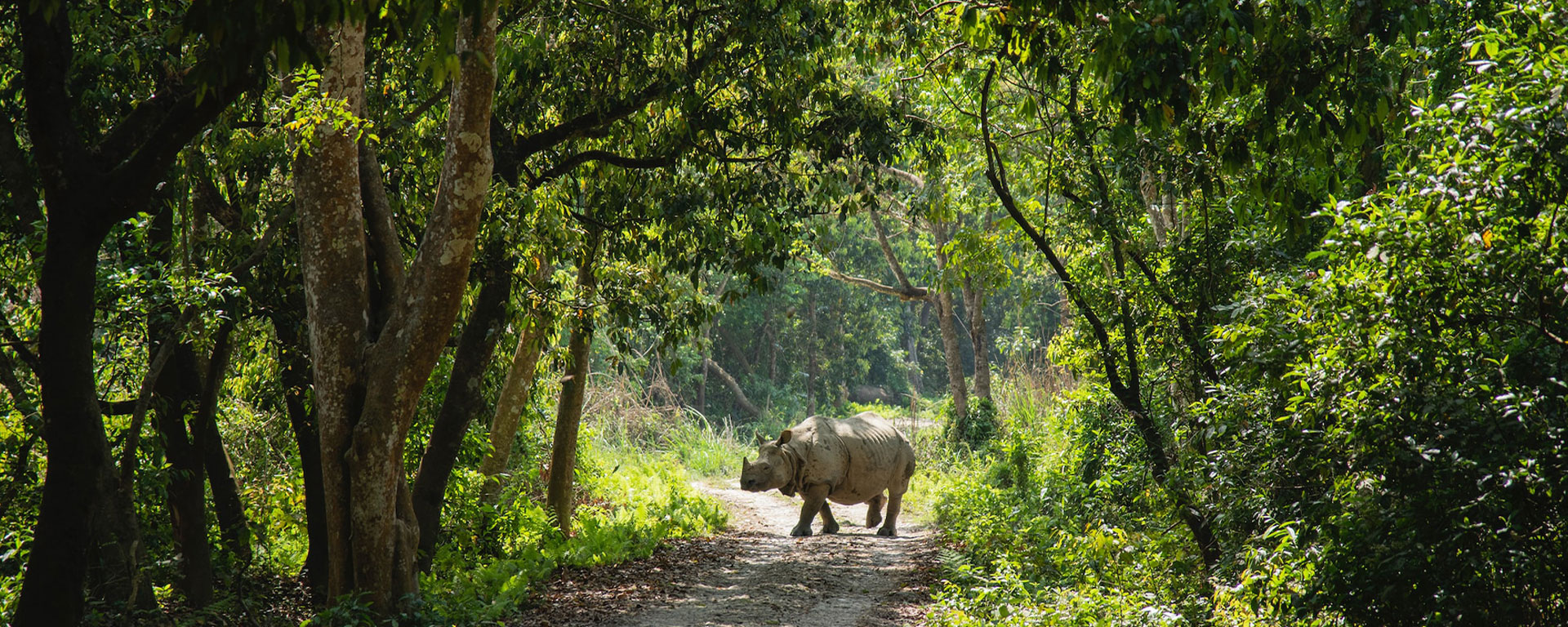 Best-of-Nepal-Tour-10-Nights-11-Days-chitwan